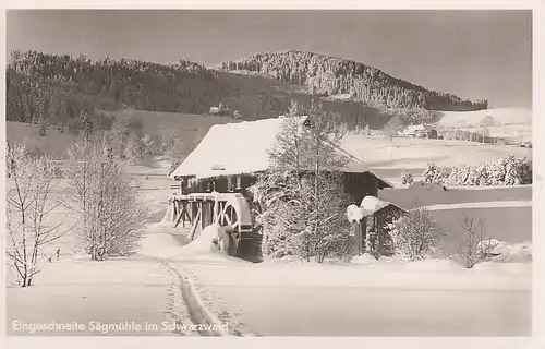 Eingerschneite Sägemühle im Schwarzwald ngl F1006