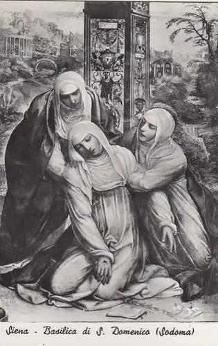 Siena, Basilica di S.Domenico, (Sodoma) ngl F1501