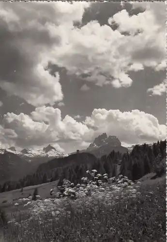 Cortina, Croda da Lago ngl F2869