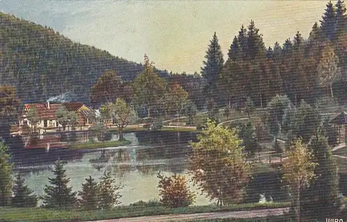 Triberg, Schwarzwald, Bergsee gl1915? F1594