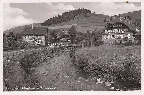 Partie von Schapbach im Schwarzwald ngl F0842