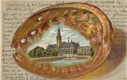 Hamburg, Rathaus in Muschelschale, Litho gl1903 F4824
