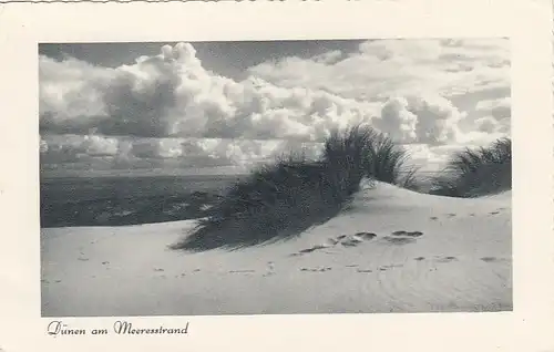 Norderney (?), Dünen am Meeresstrand ngl F3667