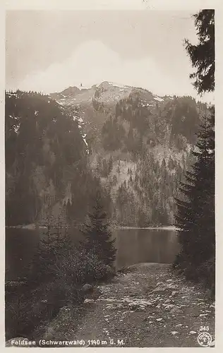 Feldsee im Schwarzwald, ngl F1036