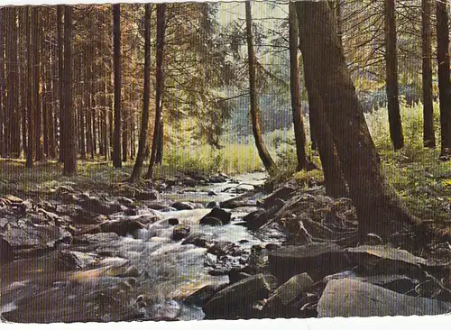 Rivières et Forêts des Ardennes ngl F4276