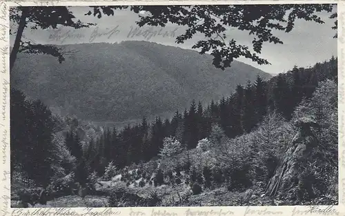 Blick vom Jagdhaus Wiese >Härdler, Rothaargebirge ngl F1933