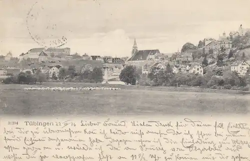 Tübingen, Panorama gl1908 F2082