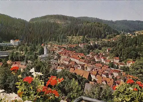 Triberg, Schwarzwald, Teilansicht ngl F3457