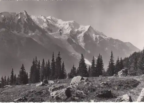 Chamonix-Mont-Blanc (Haute-Savoie), Panorama ngl F3498