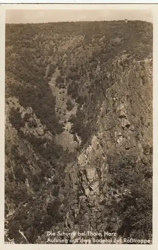 Thale a.Harz, Schurwald, Aufstieg aus dem Bodetal zur Roßtrappe gl1937 F3535