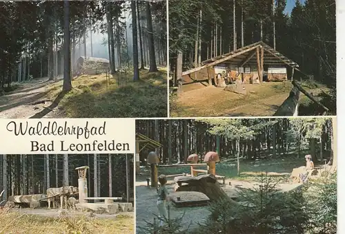 Bad Leonfelden, Waldlehrpfad gl1983? F3727