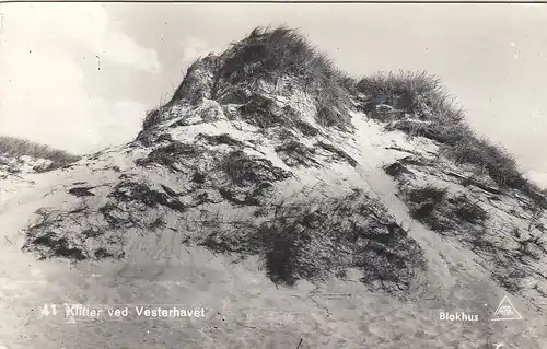 Klitter ved Versterhavet ngl F1905