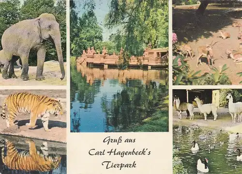 Hamburg-Stellingen, Carl Hagenbeck's Tierpark, Mehrbildkarte gl1967 F5505