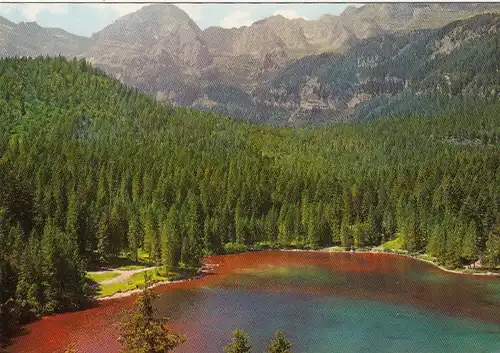 Dolomiti di Brenta, Lago Rosso di Tovel ngl F2352