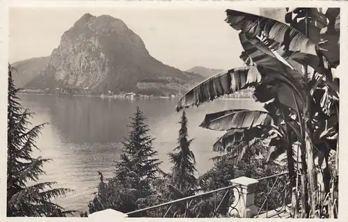 Lugano, Monte S. Salvatore ngl F2372