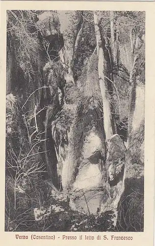 Verna (Cosentino) Presso il letto di S.Francesco ngl F4726
