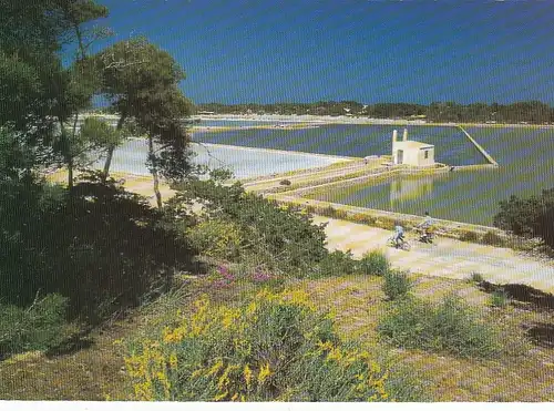 Formentera (Baléares) ngl F2414