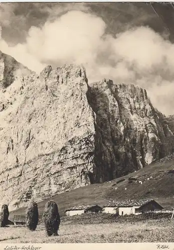 Lalider Hochleger in Tirol ngl F1713