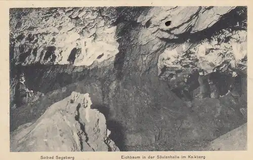 Solbad Segeberg, Kalkberg, Säulenhalle, Eichbaum i.d.Höhle ngl F7678