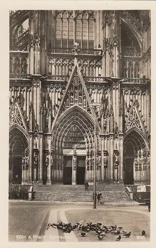 Köln am Rhein, Dom-Tauben gl1944 F2632