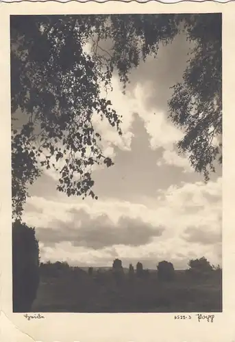 Wolken über der Heide ngl F5841