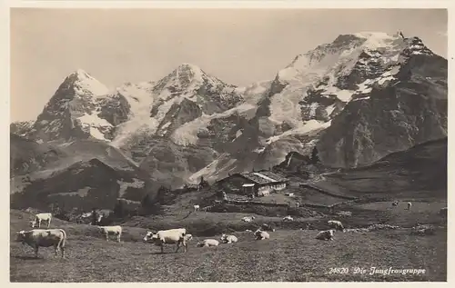 Blick auf die Jungfraugruppe ngl F2761