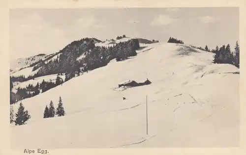 Alpe Egg bei Sonthofen im Allgäu ngl F2824