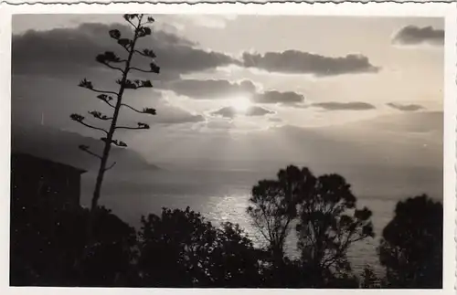 Costa Brava, Son Merroig, Mallorca ngl F2382R