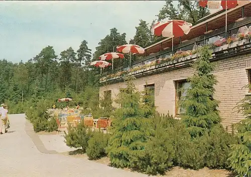 Maschen Kr.Harburg, Naturfreunde-Johann-Simonis-Haus, Forst Buchwedel gl1961 F5388