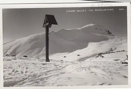 Dolomiti, Passo Sella, Col Rosella ngl F2453