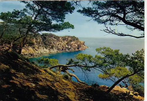 Calenque aux reflete d'or gl1976 F4285