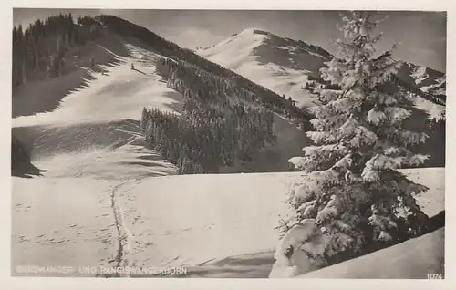 Sigeiswanger- und Rangiswanger- Horn im Allgäu gl1958 F3041