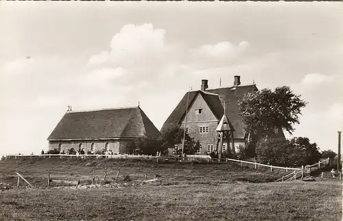 Hallig Hooge, Kurchwarft ngl F6209