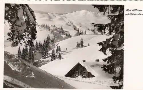 Höllritzen-Alpe und Blaicher Horn im Allgäu glum 1950? F2242