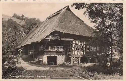 Triberg, Schwarzwald, Bauernhaus ngl F2652