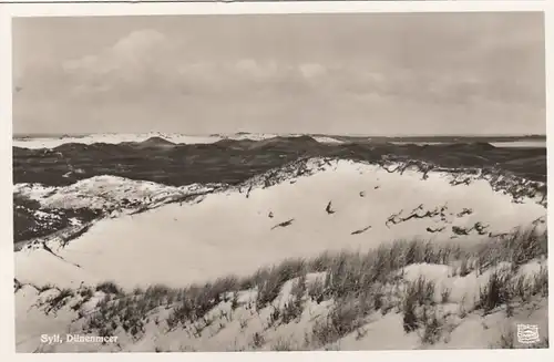 Nordseeinsel Sylt, Dünenmeer ngl F6427