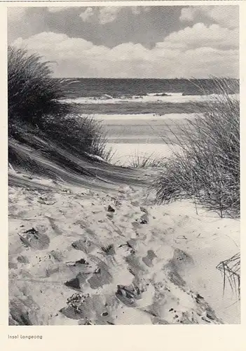 Nordseebad Insel Langeoog, Strandpartie ngl F8694