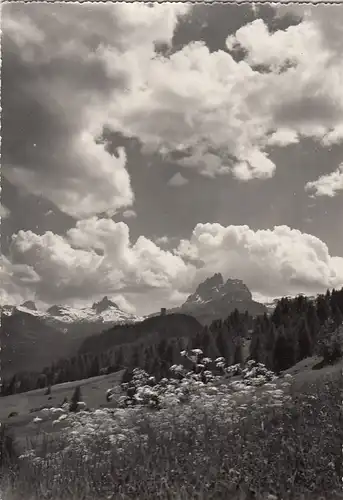 Cortina, Croda da Lago ngl F3564