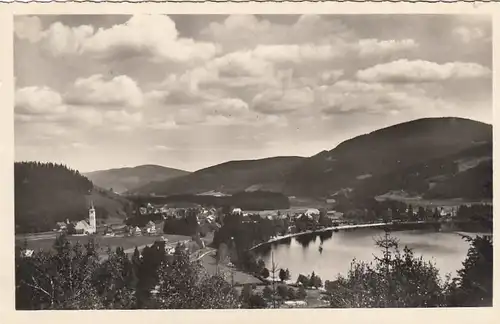 Titisee, Schwarzwald, Panorama ngl F3080