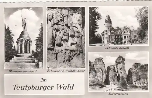 Im Teutoburger Wald, Mehrbildkarte ngl F6706