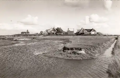 Hallig Hooge, Teilansicht ngl F6207