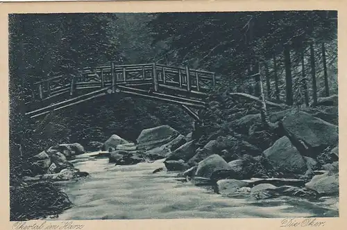 Brücke im Okertal, Harz ngl F2880