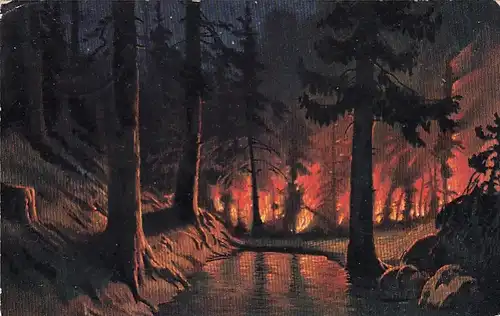 Der Wald brennt !! gl1912 F2963