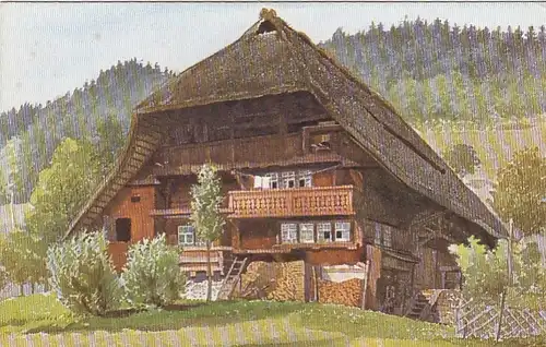 Sonniges Heim, Bauernhaus im Gutachtal, Schwarzwald ngl F2966