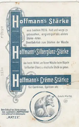 Bremen, Totalansicht, Litho, Werbekarte Hoffmann's Stärke ngl F9437