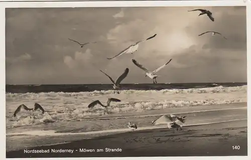 Nordseebad Norderney, Möwen am Strand gl1936 F9061