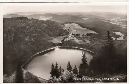 Feldsee im Schwarzwald, ngl F9463