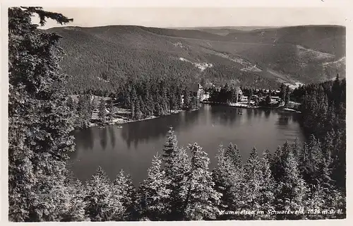 Mummelsee im Schwarzwald ngl F3368