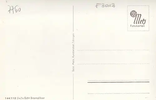 Grüße aus Radolfzell, Bodensee, Mehrbildkarte ngl F3013