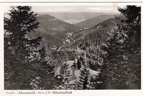 Kniebis, Schwarzwald, Ellbachseeblick ngl F9188